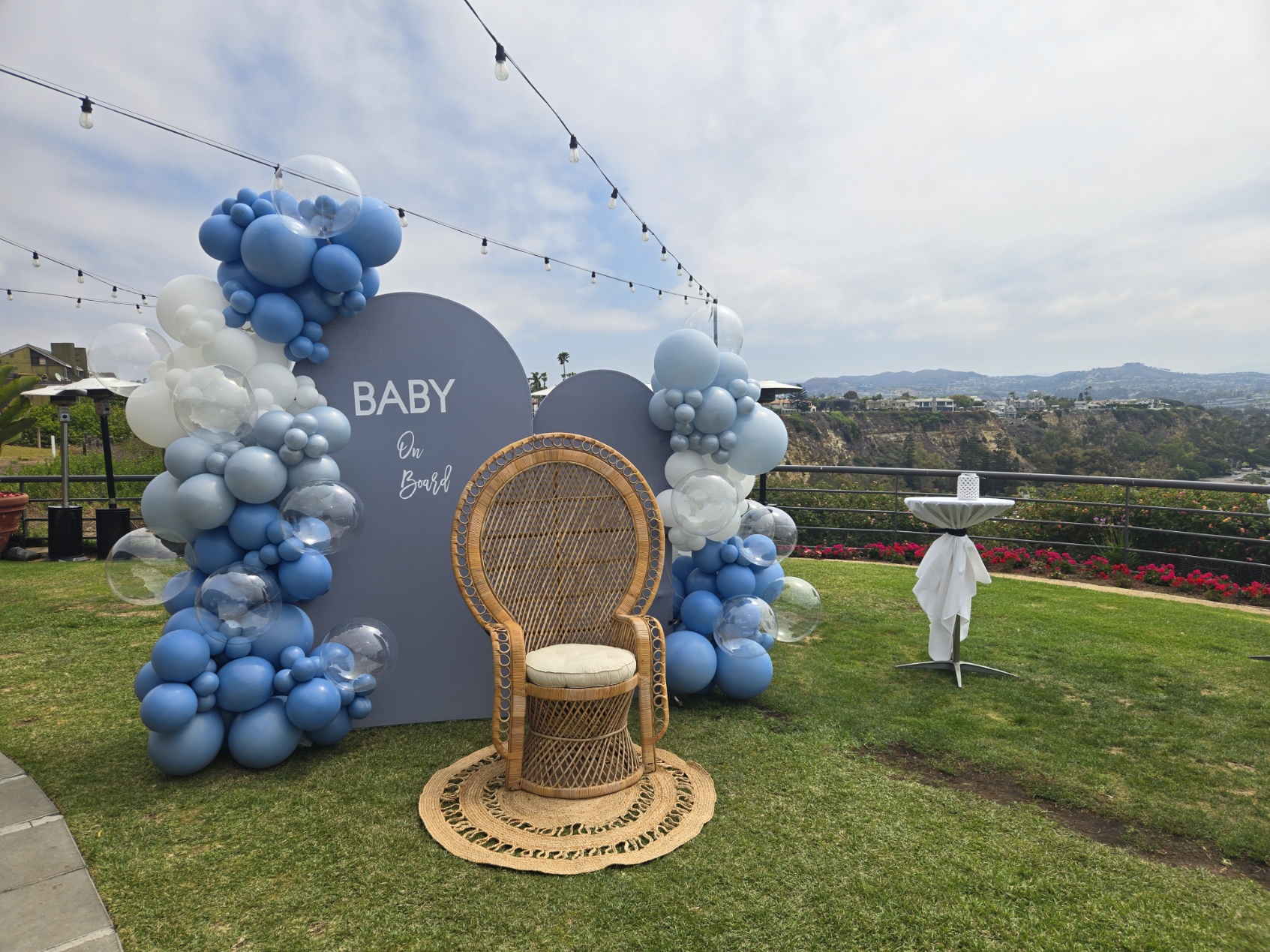 Baby Shower and Peacock Chair